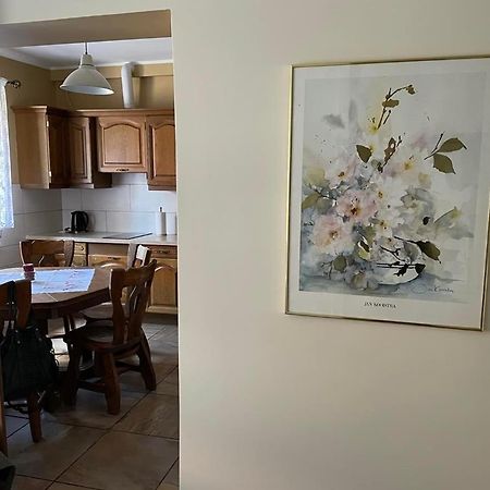 Apartamenty Jaskinia Solna Ruda Slaska Exteriér fotografie